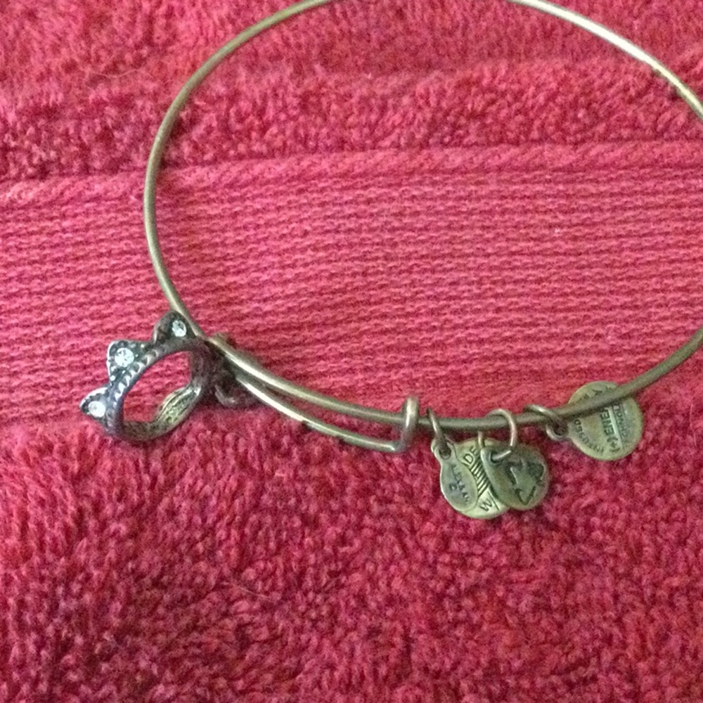 Alex and Ani Bracelet - Picture 2 of 4